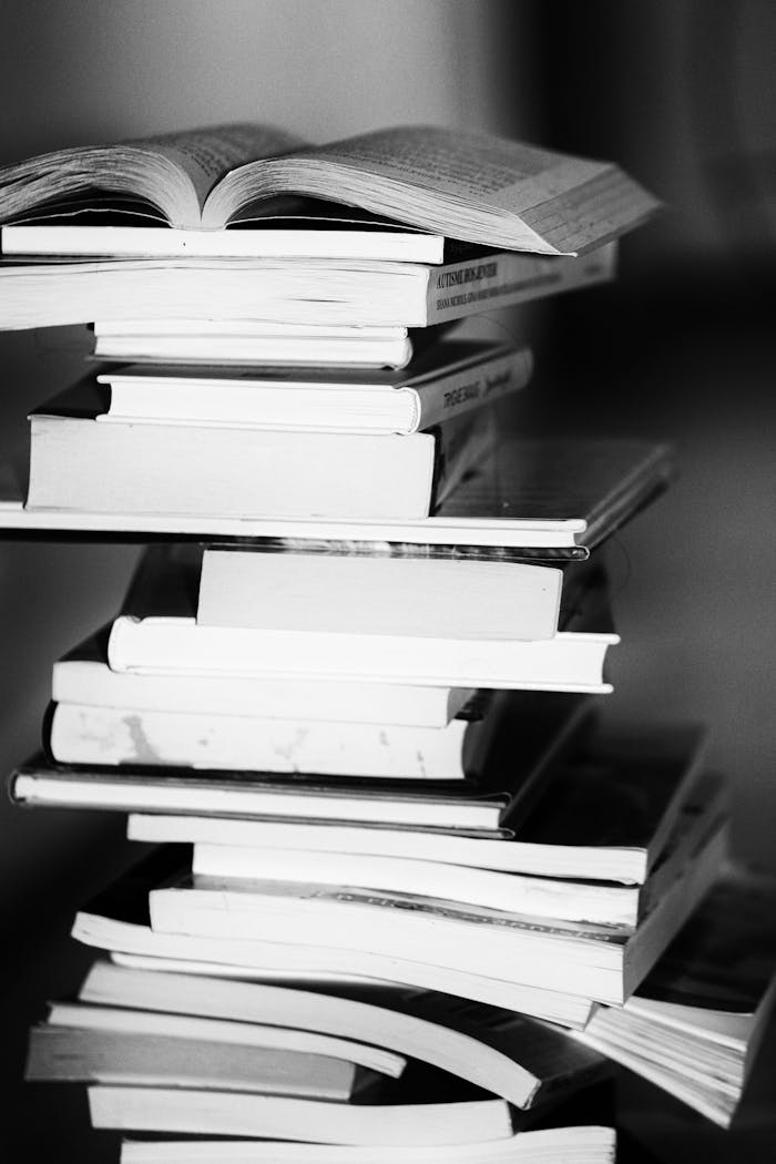 programs-01 A monochrome image of a tall stack of books symbolizing education and knowledge.